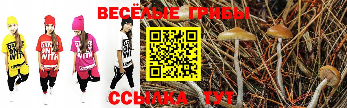 как найти закладки  Галлюциногенные грибы прущие грибы  Вход с VPN  Воткинск 